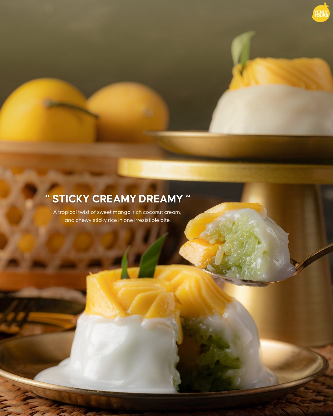 500736166_1128474035983489_2501890514044762354_n